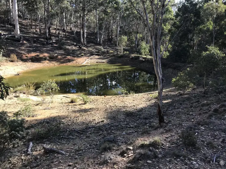 Fifth view of Homely rural property listing, Lot 1 Bugtown Road, Adaminaby NSW 2629