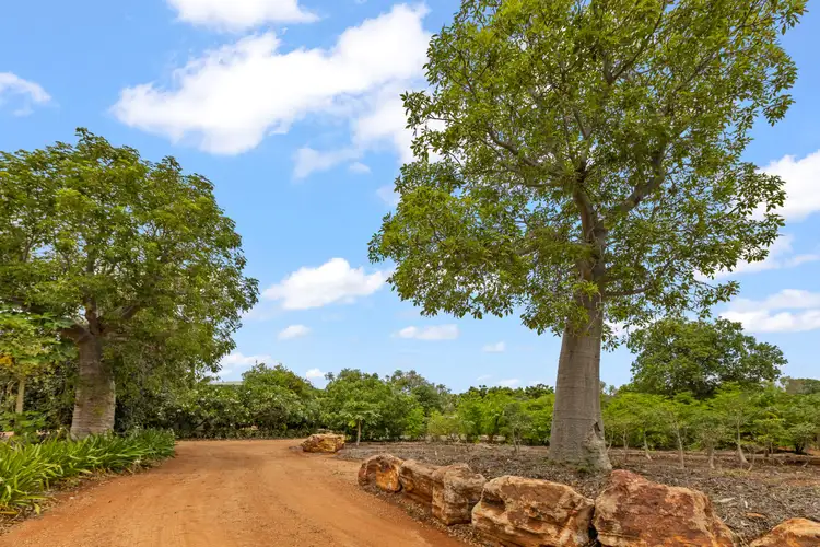 Third view of Homely rural property listing, 58 Lullfitz Drive, Broome WA 6725