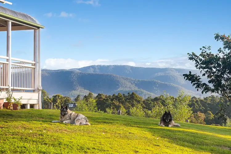462 Mount Samson Rd, Kobble Creek QLD 4520