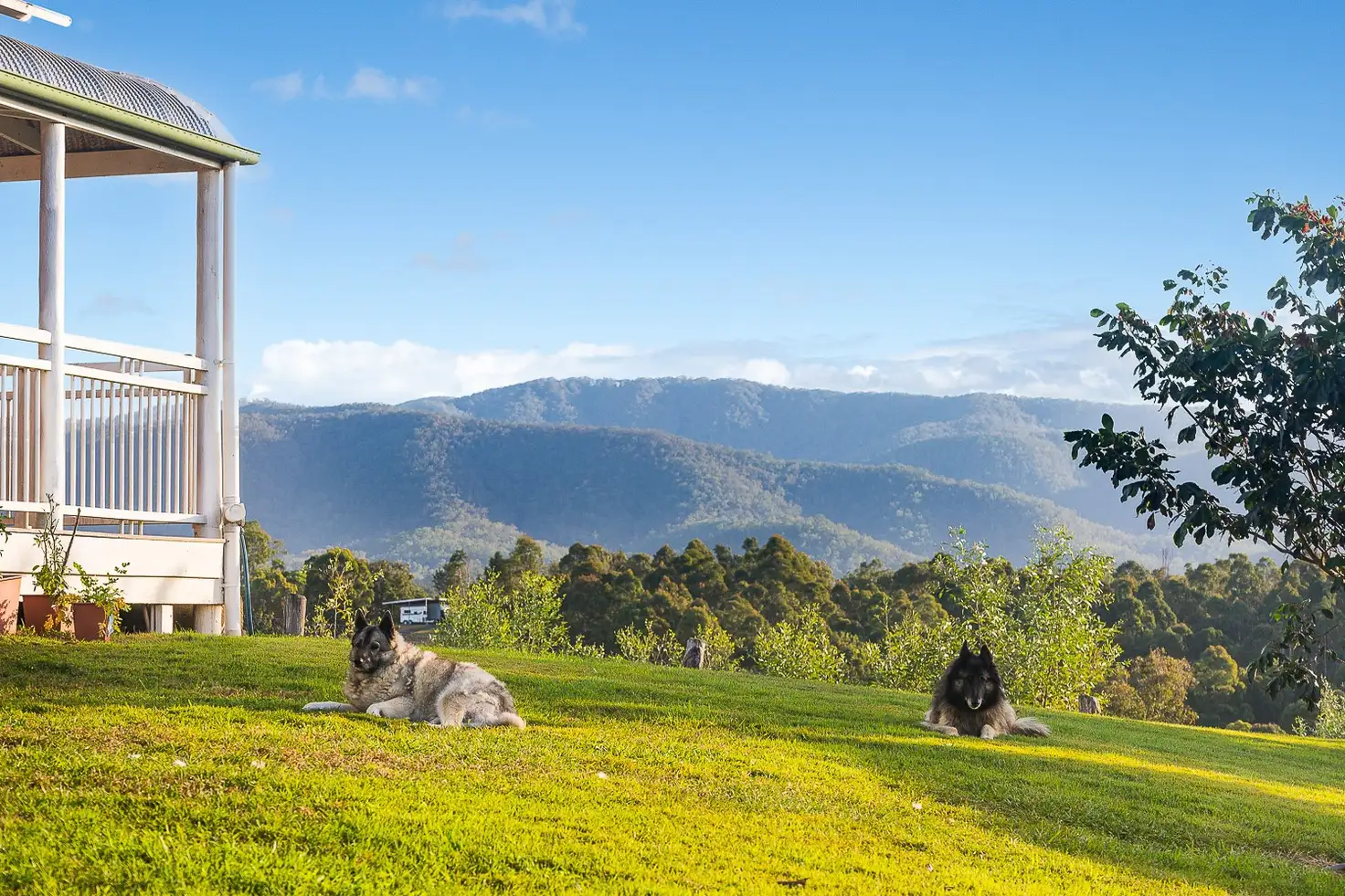 Main view of Homely rural property listing, 462 Mount Samson Rd, Kobble Creek QLD 4520