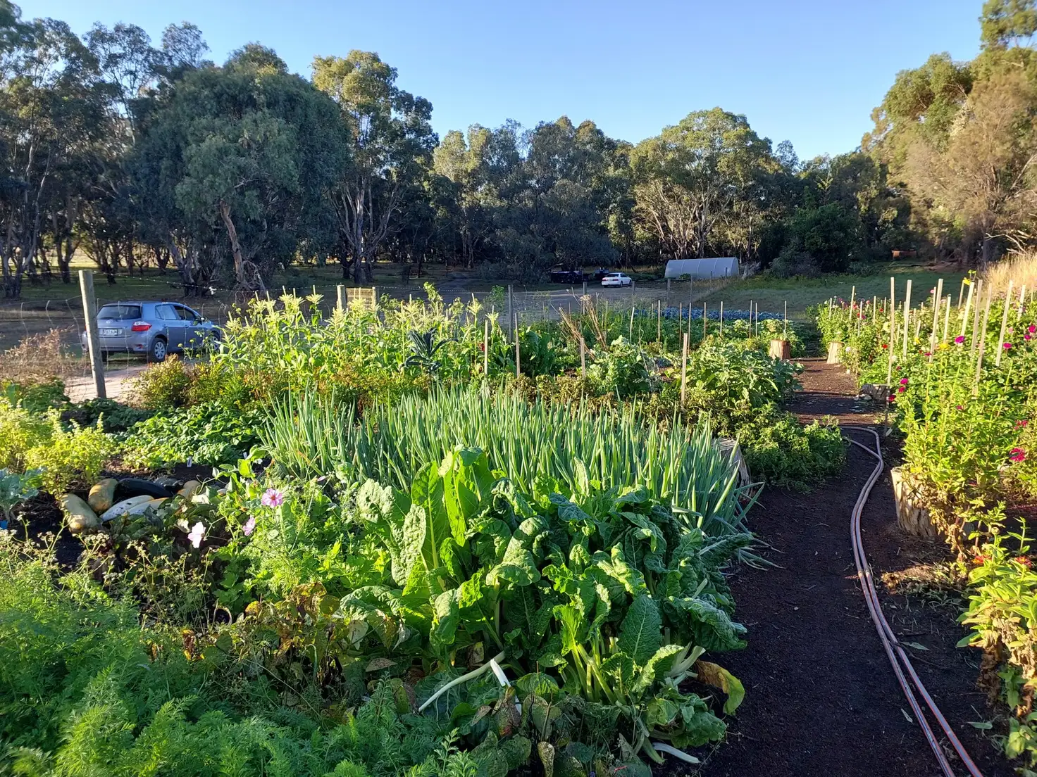 Main view of Homely land listing, 371 Frome Road, Currency Creek SA 5214