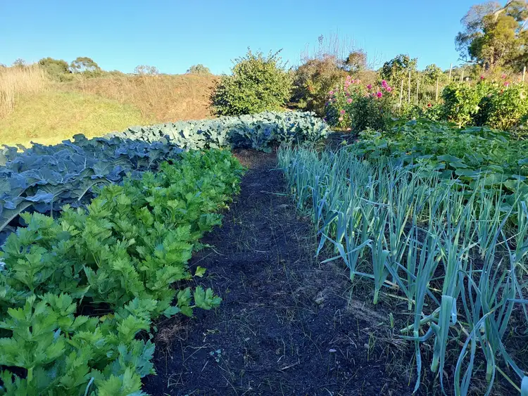 Second view of Homely land listing, 371 Frome Road, Currency Creek SA 5214