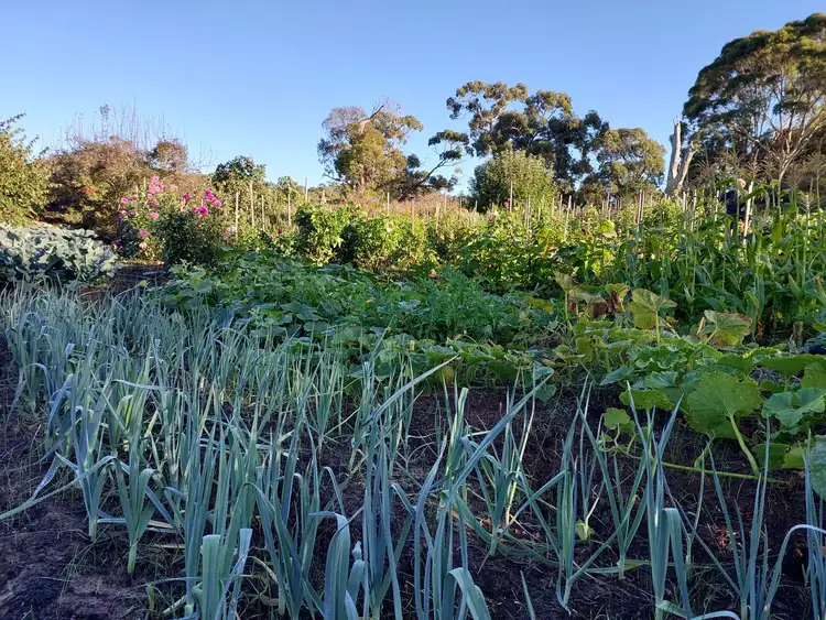 Third view of Homely land listing, 371 Frome Road, Currency Creek SA 5214