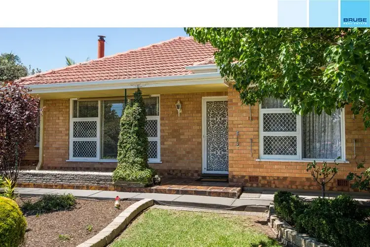 Second view of Homely house listing, 47 McShane Street, Campbelltown SA 5074