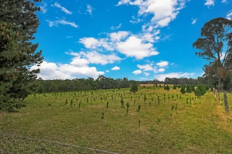 Seventh view of Homely rural property listing, 751 Parma Road, Parma NSW 2540