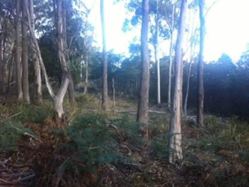 Main view of Homely land listing, 520A River Road, Deloraine TAS 7304