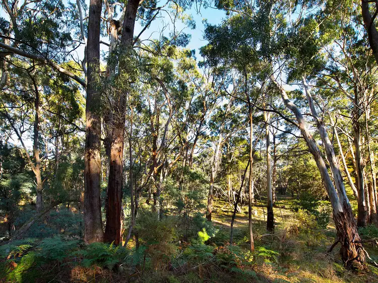 Third view of Homely land listing, 28 Plantation Road, Glenlyon VIC 3461