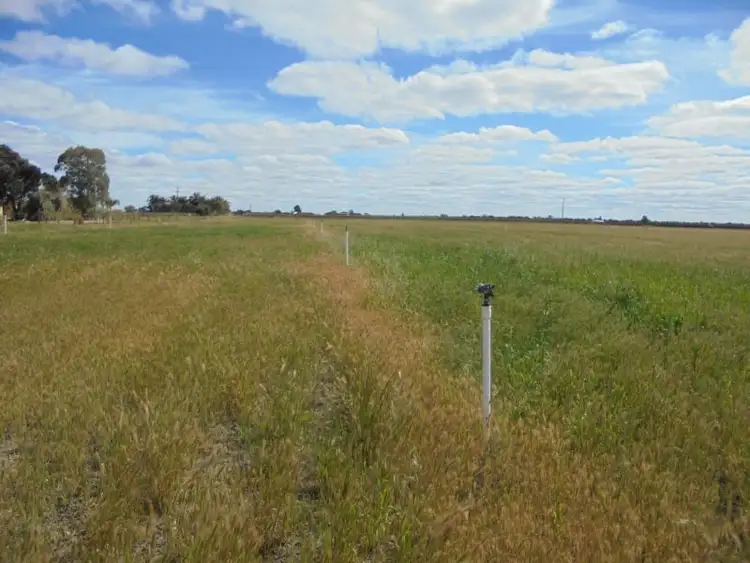 Fourth view of Homely rural property listing, Lot 2 Taylor Road, Euston NSW 2737