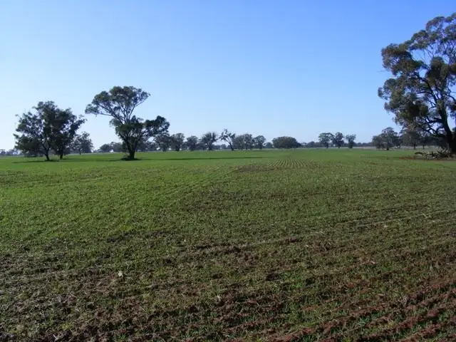 Main view of Homely rural property listing, 1376-1386 Centre Road, Moama NSW 2731