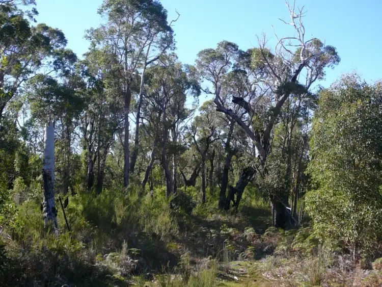 Third view of Homely land listing, 815 Stoney Creek Road, Porongurup WA 6324