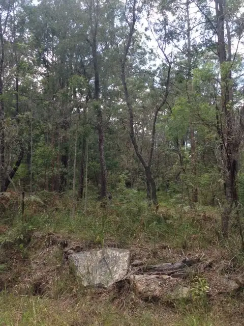Sixth view of Homely land listing, 970 Kungala Rd, Lanitza NSW 2460