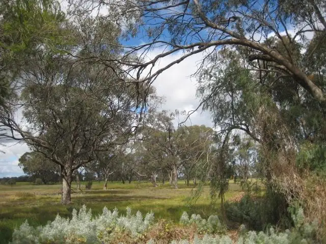 Second view of Homely house listing, 120 Thyra Road, Moama NSW 2731