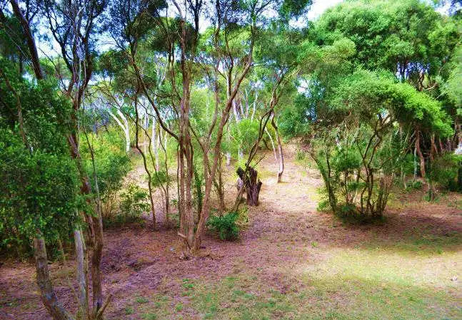 36 Phillipa St, Blairgowrie VIC 3942
