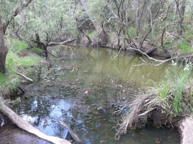 Fourth view of Homely rural property listing, LOT 65 WOOWOONGA HALL ROAD, Woowoonga QLD 4621