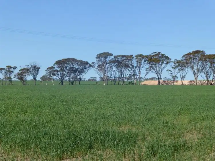 Third view of Homely land listing, Lot 5749 Maynard Road, Quairading WA 6383