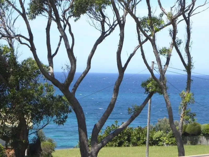 Main view of Homely house listing, 3 Moolianga Rd, Berrara NSW 2540