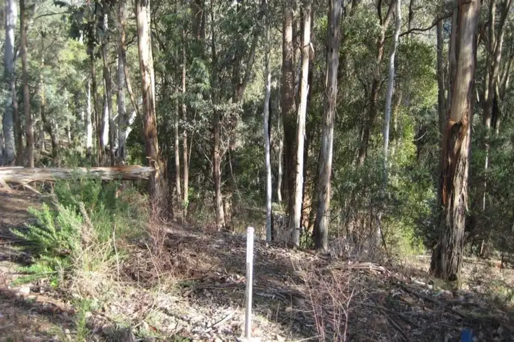 Sixth view of Homely land listing, 44 Christensen Street, Sawmill Settlement VIC 3723