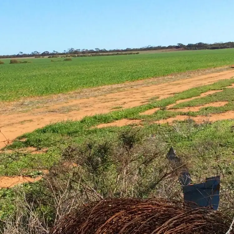 Third view of Homely land listing, LOT 14330 Davis Road, Nungarin WA 6490