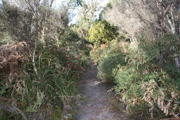 Fifth view of Homely land listing, 117 Panatana Drive, Port Sorell TAS 7307