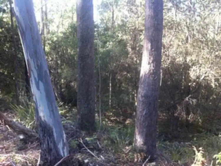 Second view of Homely land listing, 520A River Road, Deloraine TAS 7304