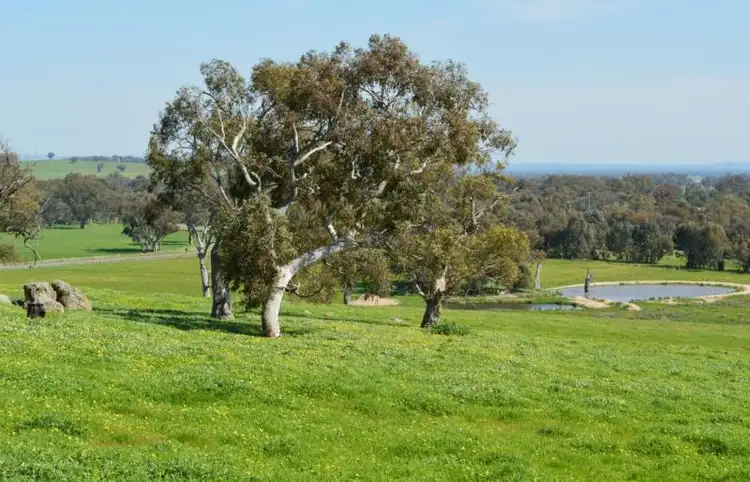 Second view of Homely rural property listing, Address available on request