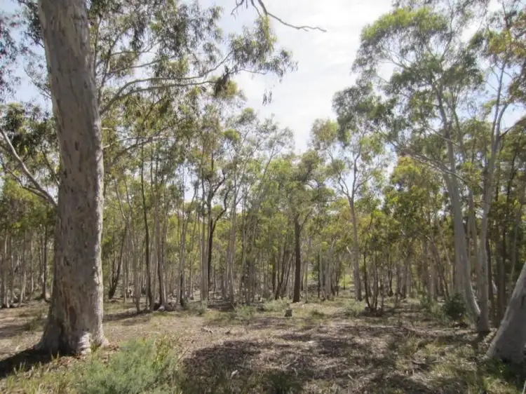 Fourth view of Homely rural property listing, 397 Jacqua Road, Windellama NSW 2580