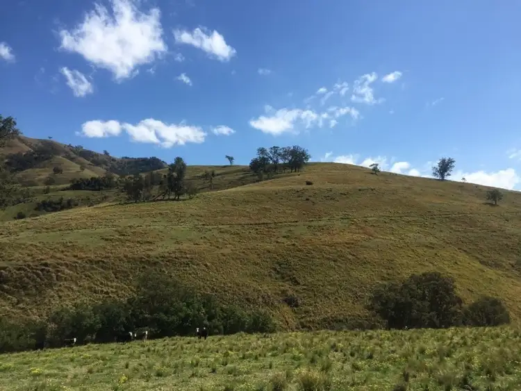 Fifth view of Homely land listing, Off Lostock Road, Lostock NSW 2311