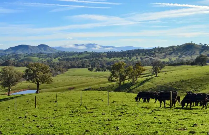 Main view of Homely rural property listing, 687 Monkey Gully Road, Mansfield VIC 3722