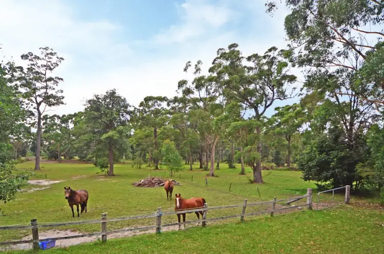 Second view of Homely rural property listing, 875 Sussex Inlet Road, Sussex Inlet NSW 2540