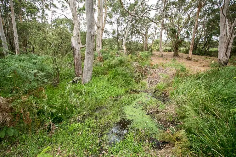 Seventh view of Homely land listing, LOT 3 Currinup Road, Torbay WA 6330