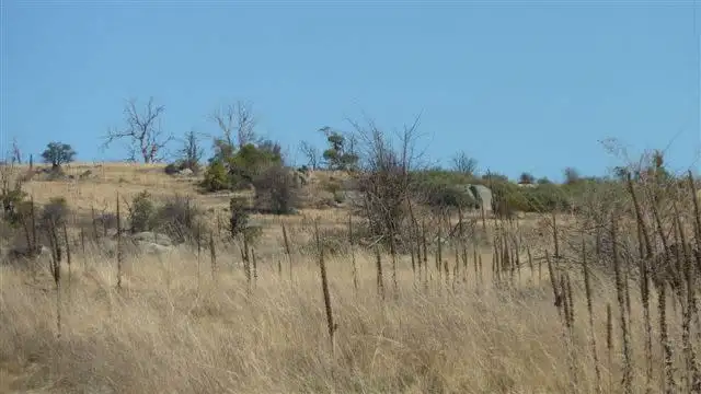 Main view of Homely land listing, LOT 1, 1 Bobundara Road, Berridale NSW 2628