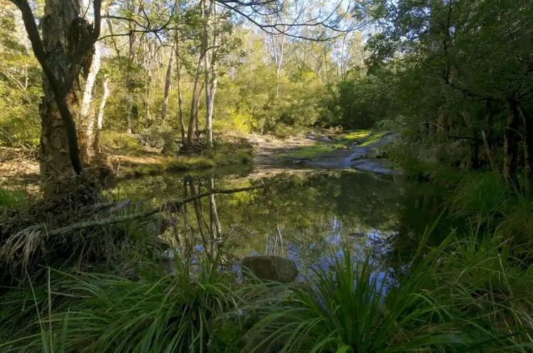 Fourth view of Homely rural property listing, 352 Pinebrush Road, Dungog NSW 2420