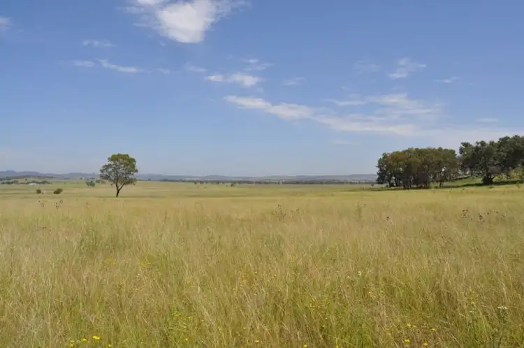 Fifth view of Homely land listing, 221 Black Lead Lane, Gulgong NSW 2852