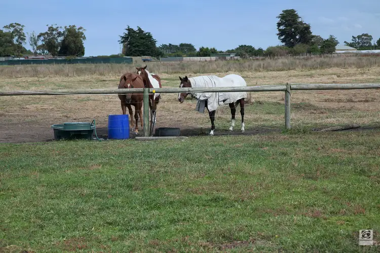 Address available on request