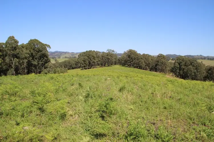 Sixth view of Homely land listing, Lot 105 & 107 Nelsons Road, Dungog NSW 2420