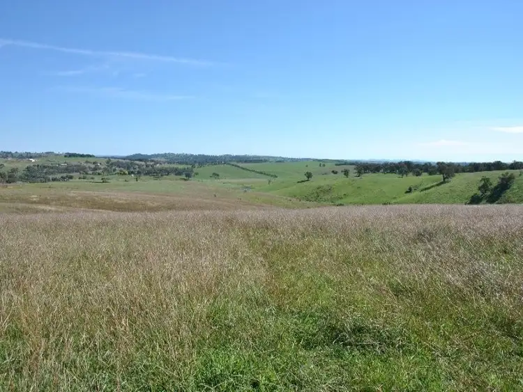 Seventh view of Homely rural property listing, 1190 Mitchell Highway, Orange NSW 2800