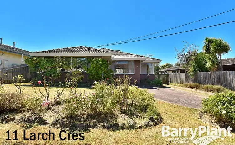 11 Larch Crescent, Mount Waverley VIC 3149