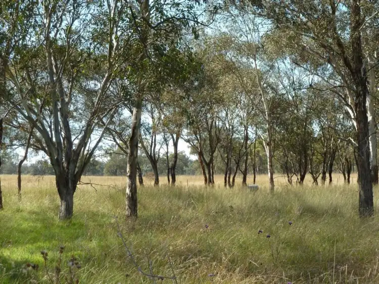 Third view of Homely rural property listing, 860 Cope Road, Gulgong NSW 2852
