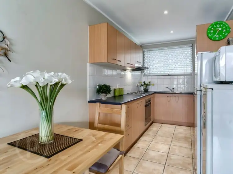 Main view of Homely unit listing, 4/834 Ipswich Road, Moorooka QLD 4105