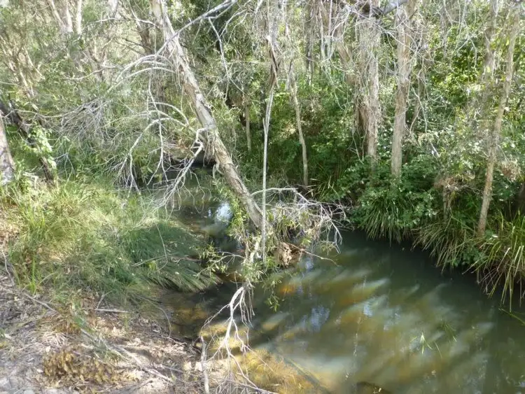 Main view of Homely rural property listing, LOT 55 CORNER KINGSTON DRIVE & TARDAS ROAD, Cordalba QLD 4660