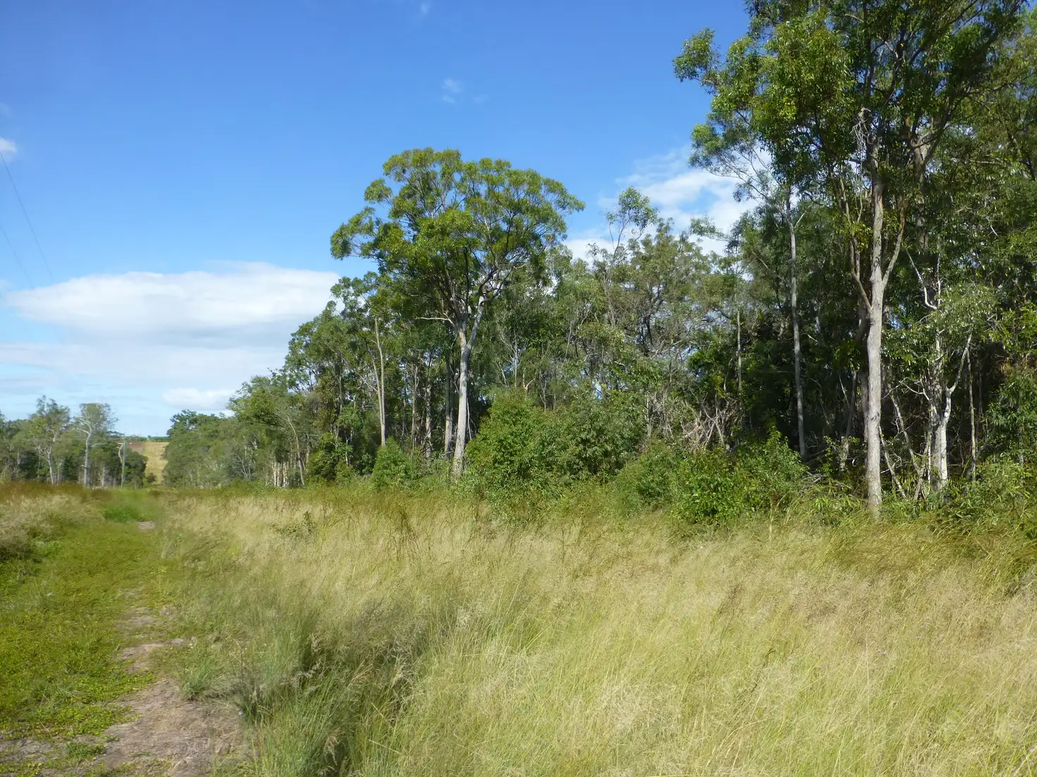 Main view of Homely rural property listing, LOT 51 TARDA'S ROAD, Cordalba QLD 4660