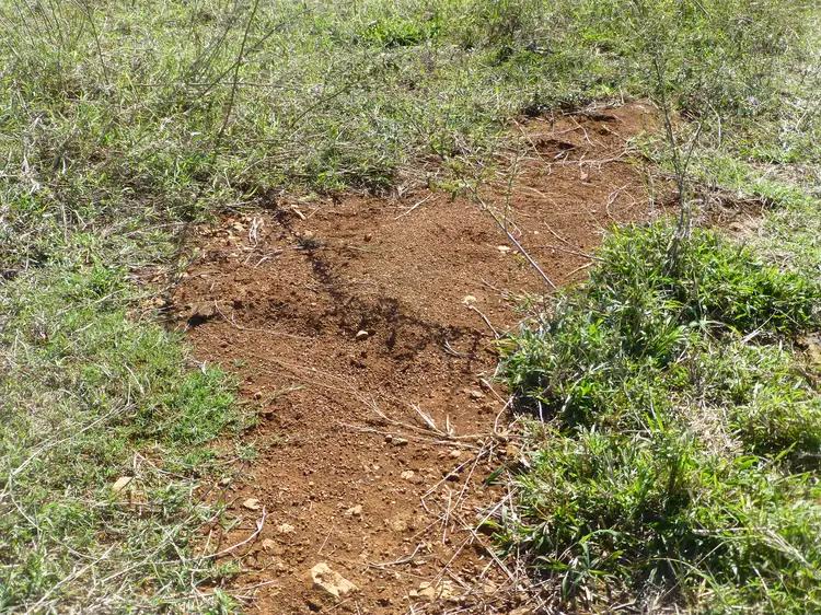 Third view of Homely rural property listing, LOT 99 WILSON PIT ROAD, Dallarnil QLD 4621