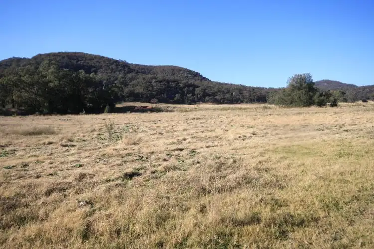 Fourth view of Homely rural property listing, 830 Worondi Creek Road, Gungal NSW 2333