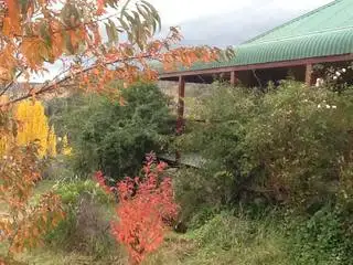 Fifth view of Homely house listing, 1006 Rocky Plains Road, Berridale NSW 2628