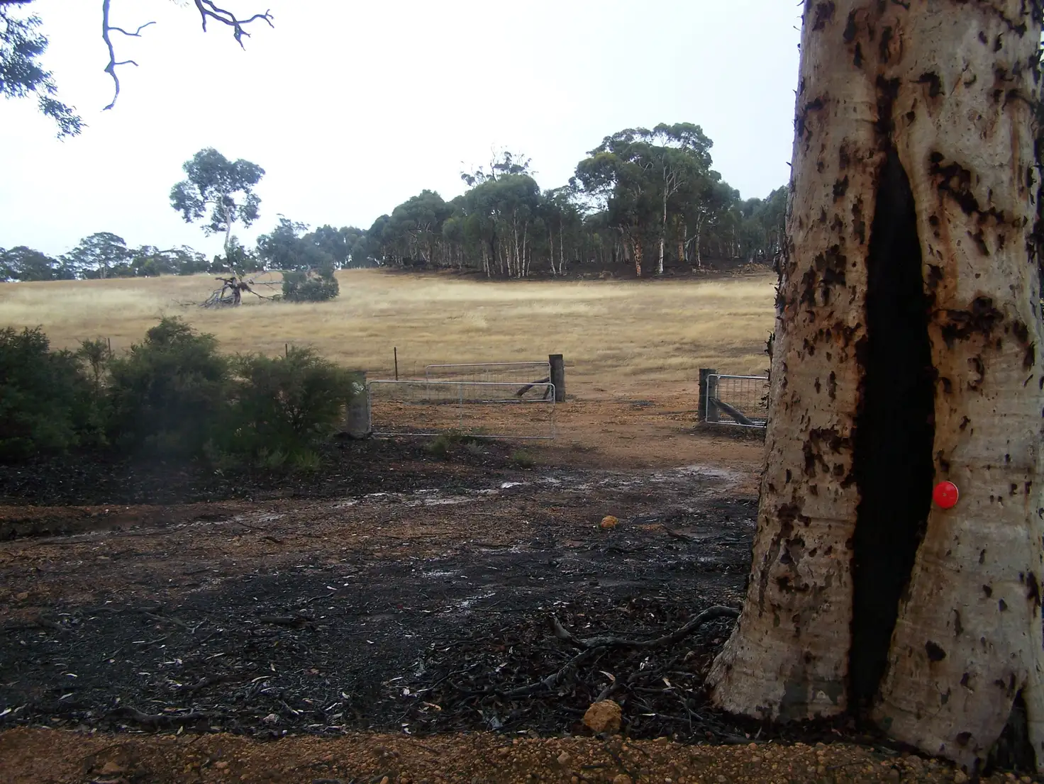 Main view of Homely rural property listing, LOT 2 Kittlers Road, York WA 6302