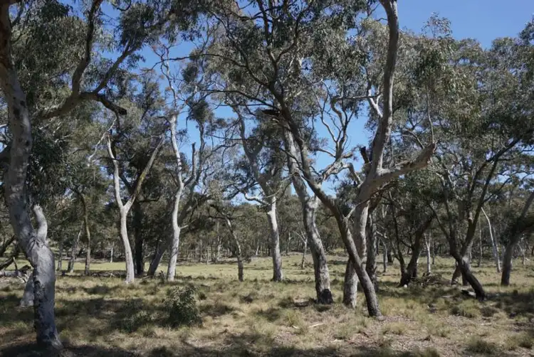 Seventh view of Homely land listing, 3582 Kings Highway, Bungendore NSW 2621