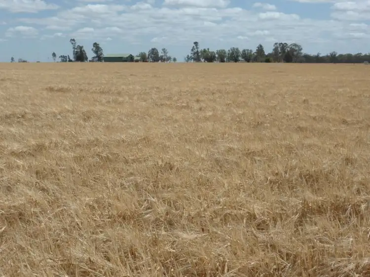 Third view of Homely rural property listing, 225 Yaralla Road, Dalby QLD 4405