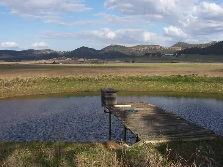 Third view of Homely rural property listing, 1080 Bylong Valley Way, Baerami NSW 2333