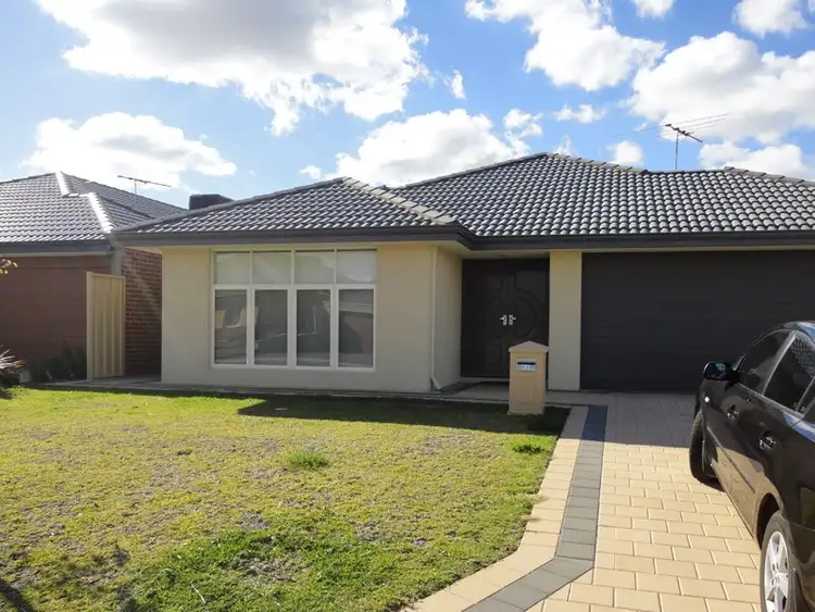 Main view of Homely house listing, 11 Nankeen Elbow, Beeliar WA 6164