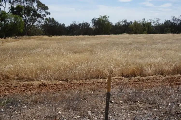 Sixth view of Homely rural property listing, 40 Hoops Road, Cold Harbour WA 6302